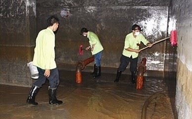 深圳盐田地毯清洗公司,坑梓实惠的地毯清洗