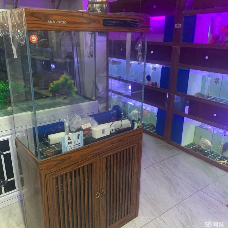 深圳专业除胶,去除玻璃胶发霉,地板粘胶清除