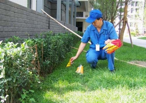 深圳白蚁防治所 灭白蚁消杀除四害公司，全深圳上门服务