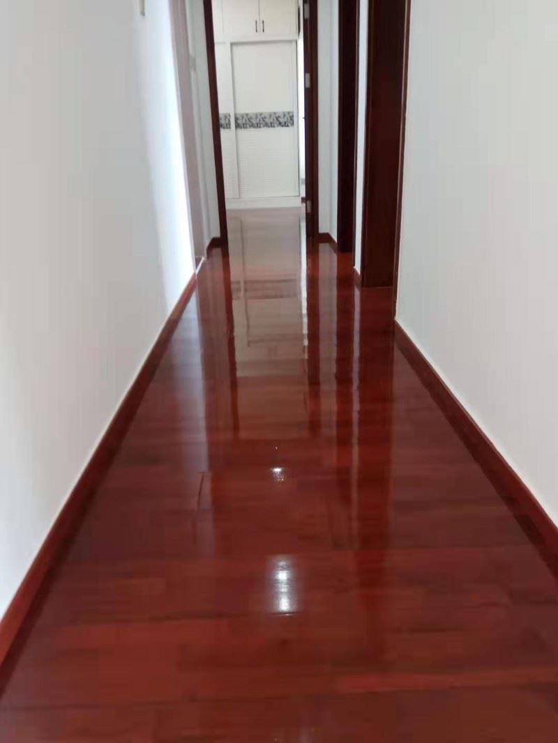 福田楼盘,学校专业保洁清洗服务电话