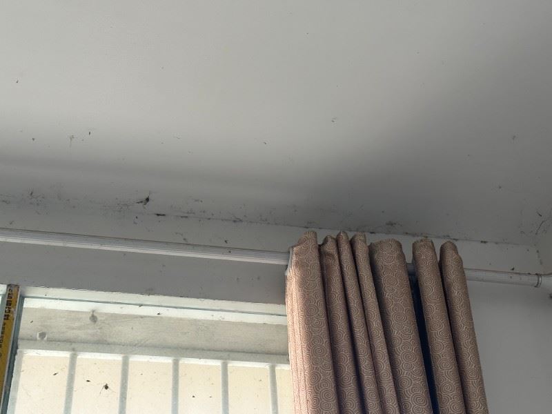 深圳漏水检测 宝安房顶渗水维修房屋漏水维修公司